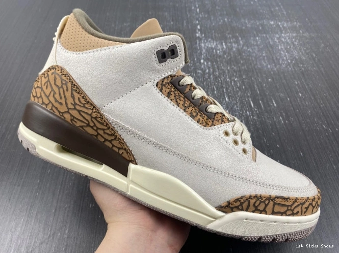 1st Kicks Palomino Jordan 3 CT8532-102 Air 0723